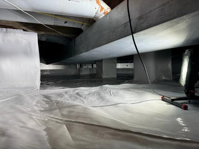 CleanSpace