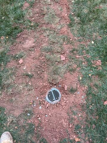 LawnScape