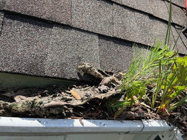 Gutters before Rain Drop installation