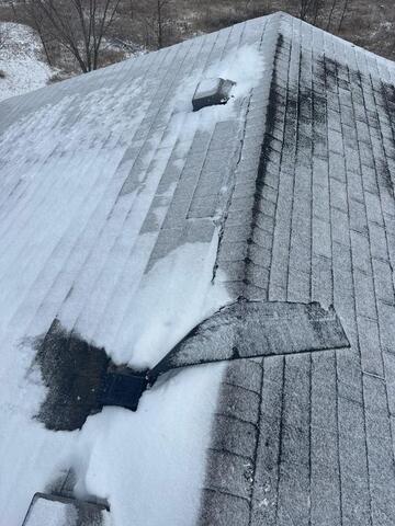 Roofing Shingle Damaged