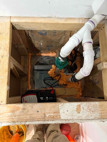 Consultation in Easton - From Mold to Moisture Control