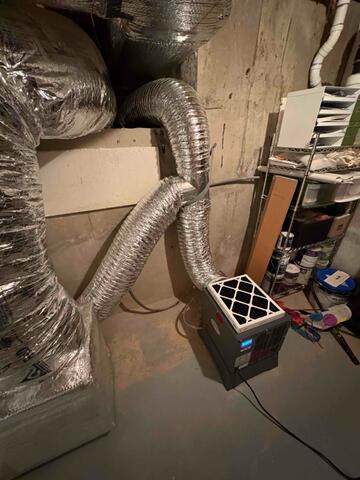 Consultation in Easton - From Mold to Moisture Control