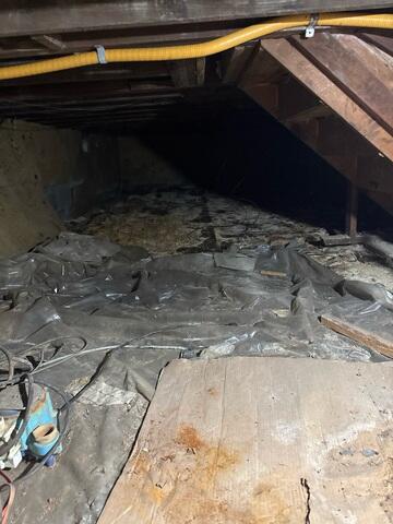 Crawl Space