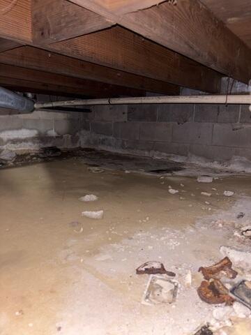 Damp Crawl Space