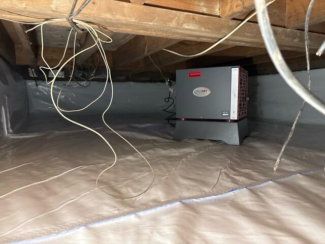 Dehumidifier