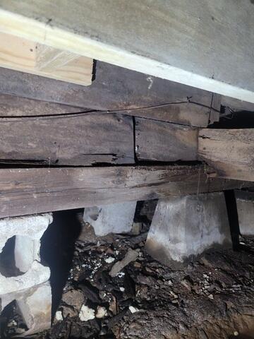 Wet Crawlspace Wood
