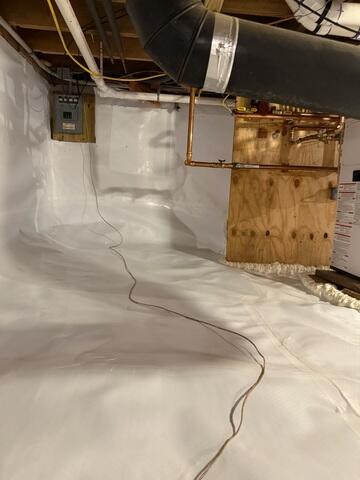 New CleanSpace