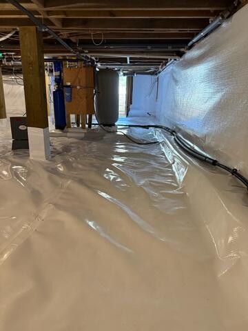 New CleanSpace