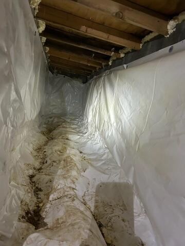 Old Vapor Barrier