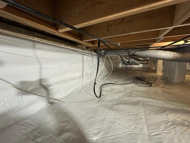 CleanSpace Liner