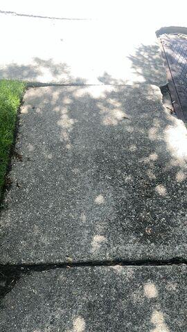 Uneven Sidewalk in New Orleans Before Leveling