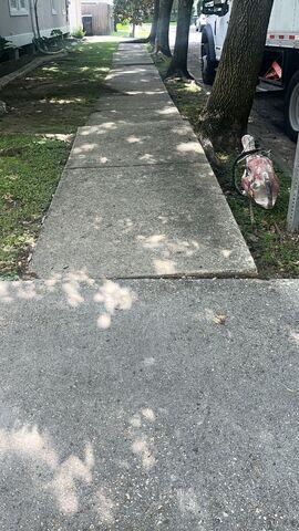 Damaged Walkway Needing Repair