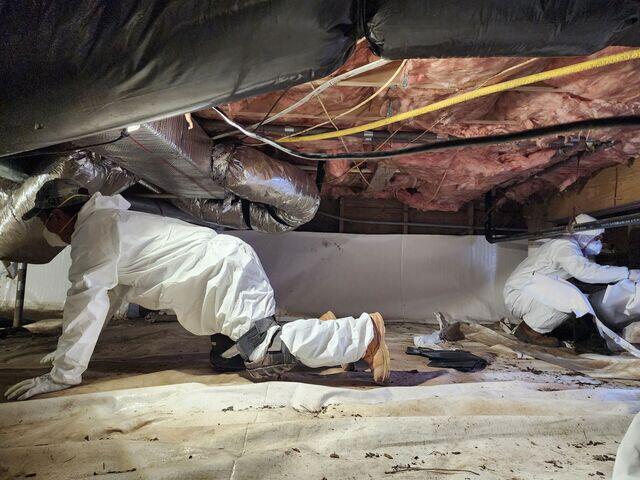 Crawl Space Cleanup