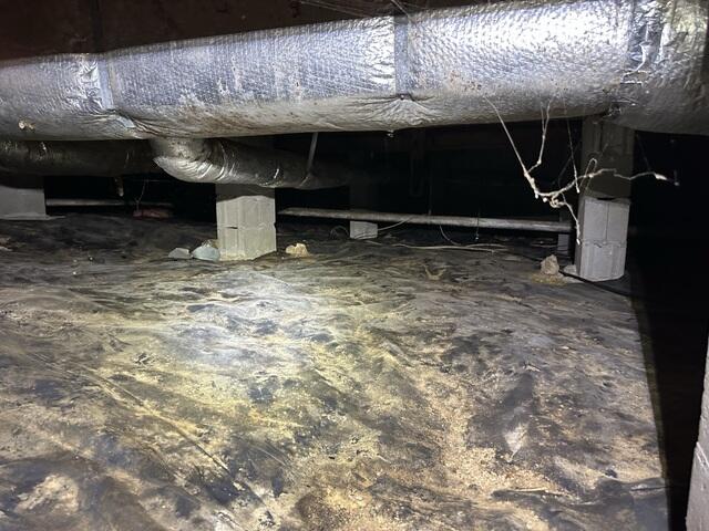 Damp and Dirty