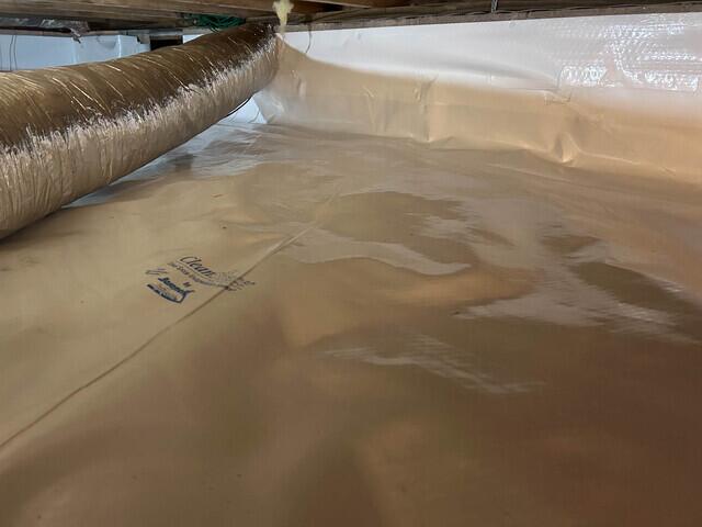 CleanSpace