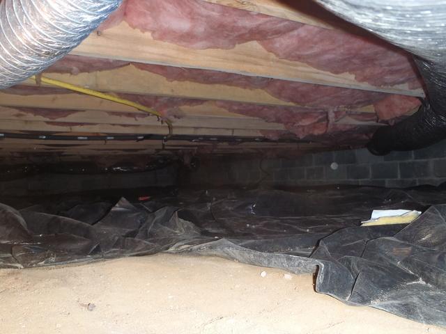 This photo captures another angle of the moldy and dirty crawl space.