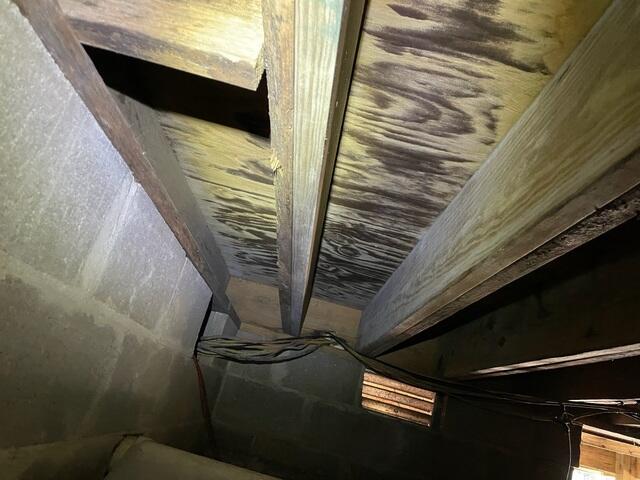 Crawl Space Moisture