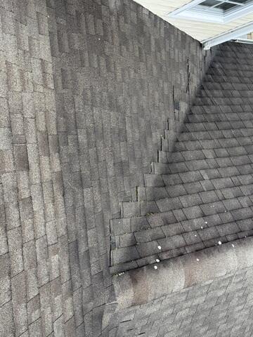 Before: Moss and Lichen Growth in the Valleys