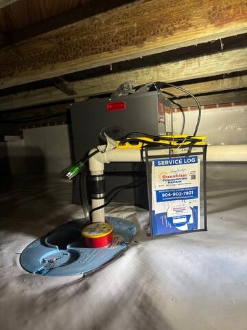 TripleSafe Sump Pump & SaniDry Dehumidifier - Jacksonville, FL