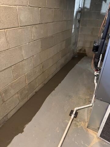 WaterGuard Drainage System