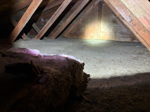 Flattened Cellulose
