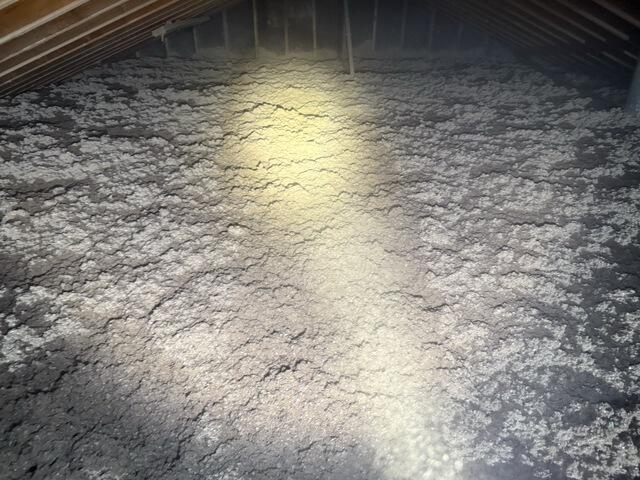 Rejuvenated Attic