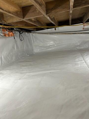 CleanSpace Liner