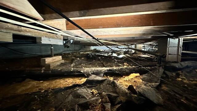 Crawl Space During Inspection
