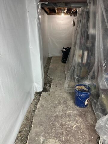 Trench Line