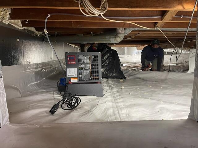 Dehumidifier