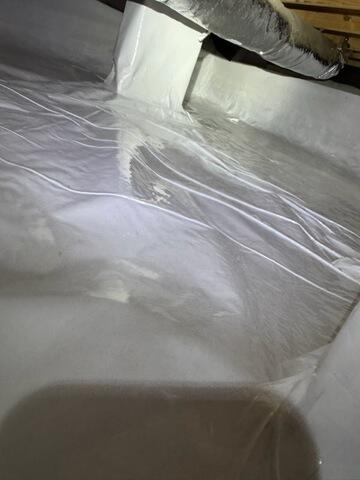 CleanSpace Liner