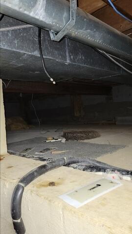 Crawl Space