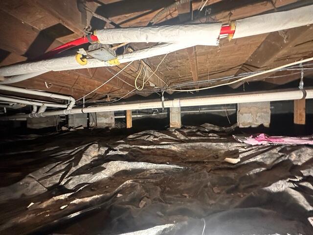 Crawl Space