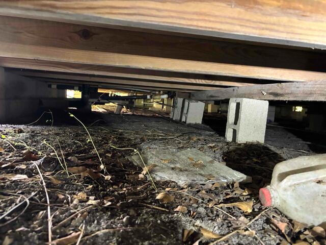 Crawl Space Inspection