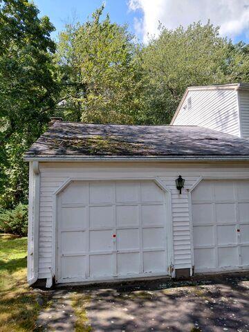 Asphalt Shingles before treatment