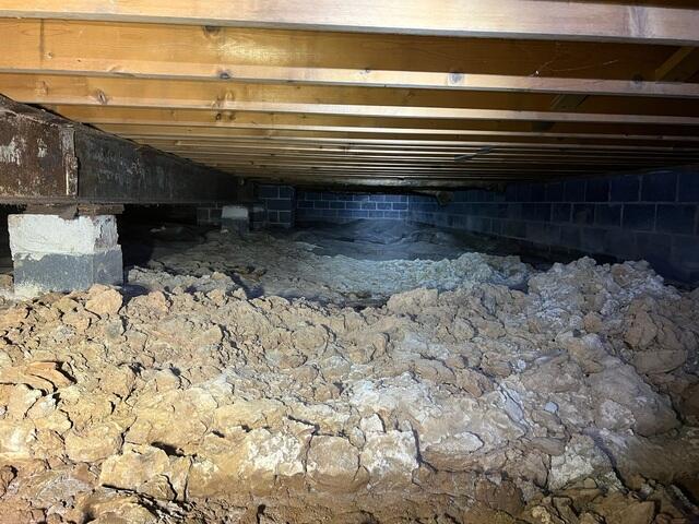 Nasty Crawl Space