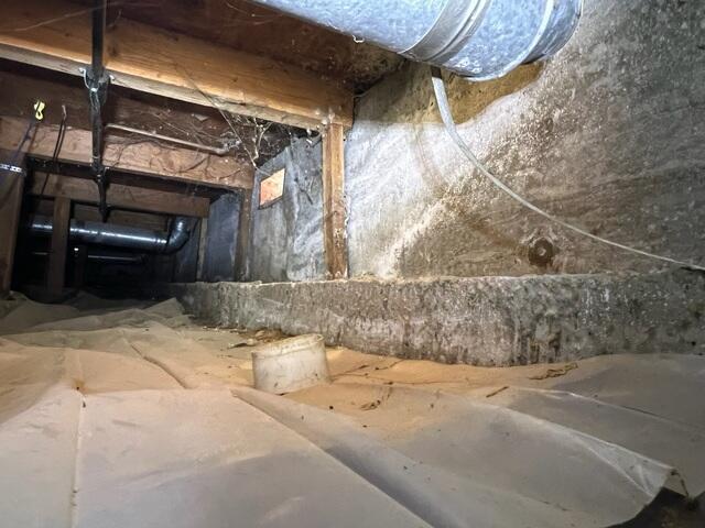 A Nasty Crawl Space Before CleanSpace©
