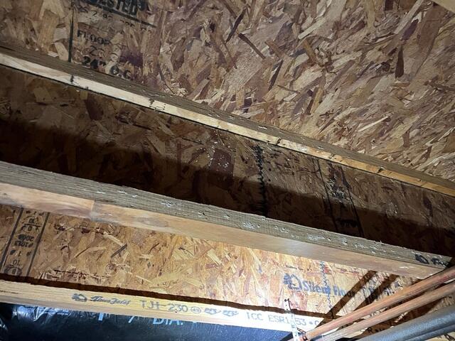 Moldy Crawl Space in Brookville, OH