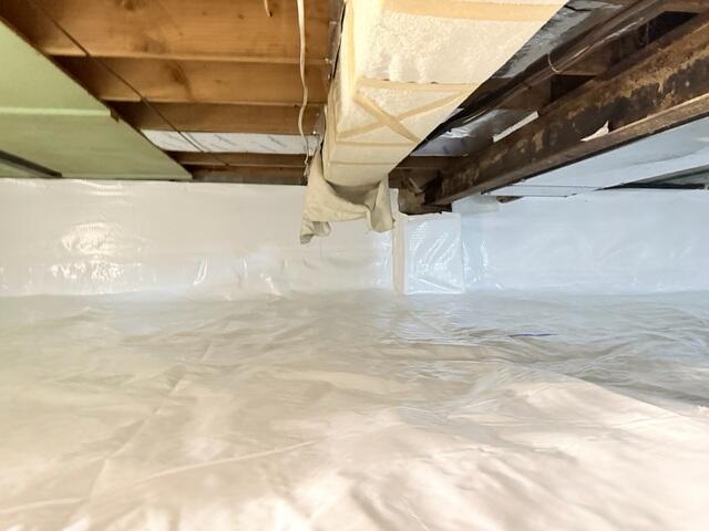 CleanSpace