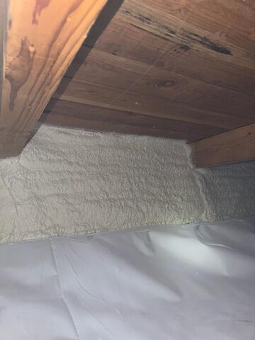 Spray Foam Insulation