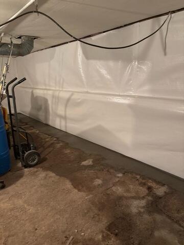 CleanSpace