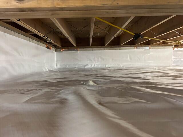CleanSpace