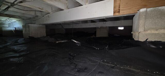 Damp Crawl Space