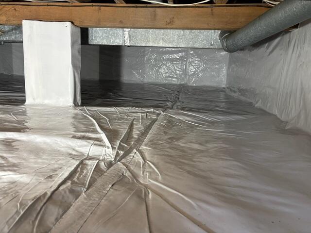 CleanSpace