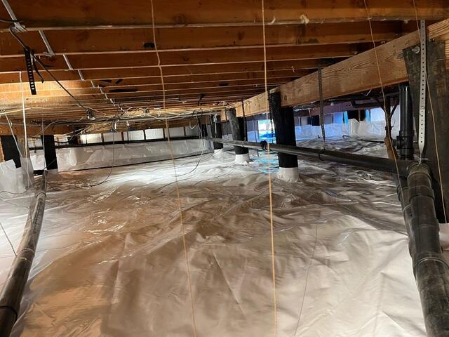 CleanSpace