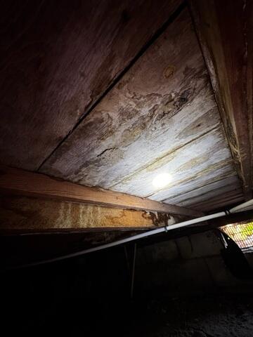 Crawl Space Moisture Damage