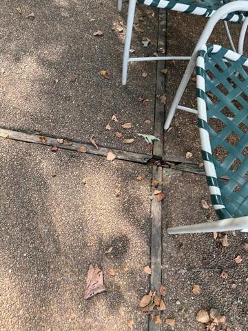 Wood Joints with Screws