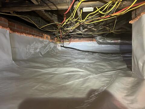 Termite Inspections