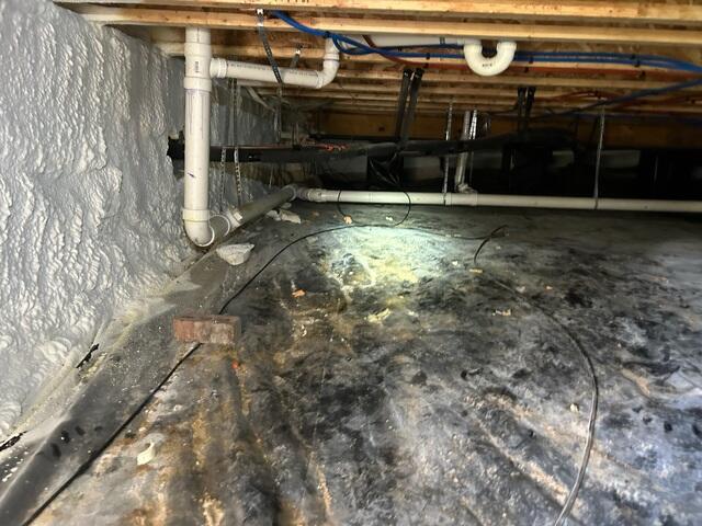 Moisture Damage