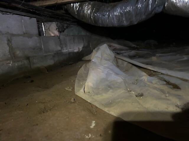 Moisture Issues